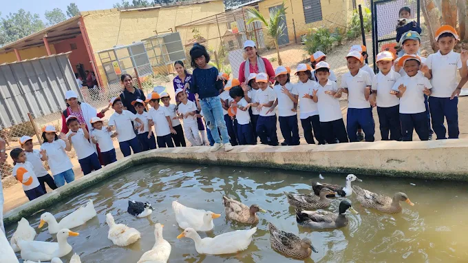 Field trip feeding ducks at a farm pond
